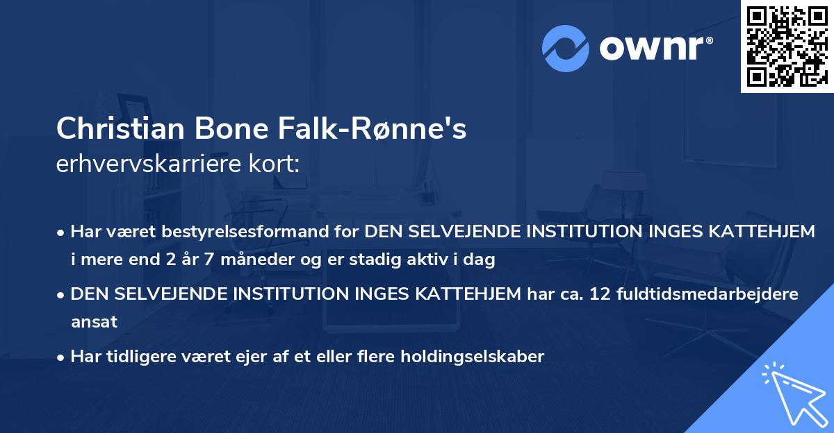 Christian Bone Falk-Rønne's erhvervskarriere kort