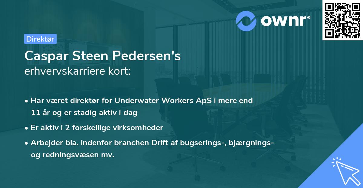 Caspar Steen Pedersen's erhvervskarriere kort