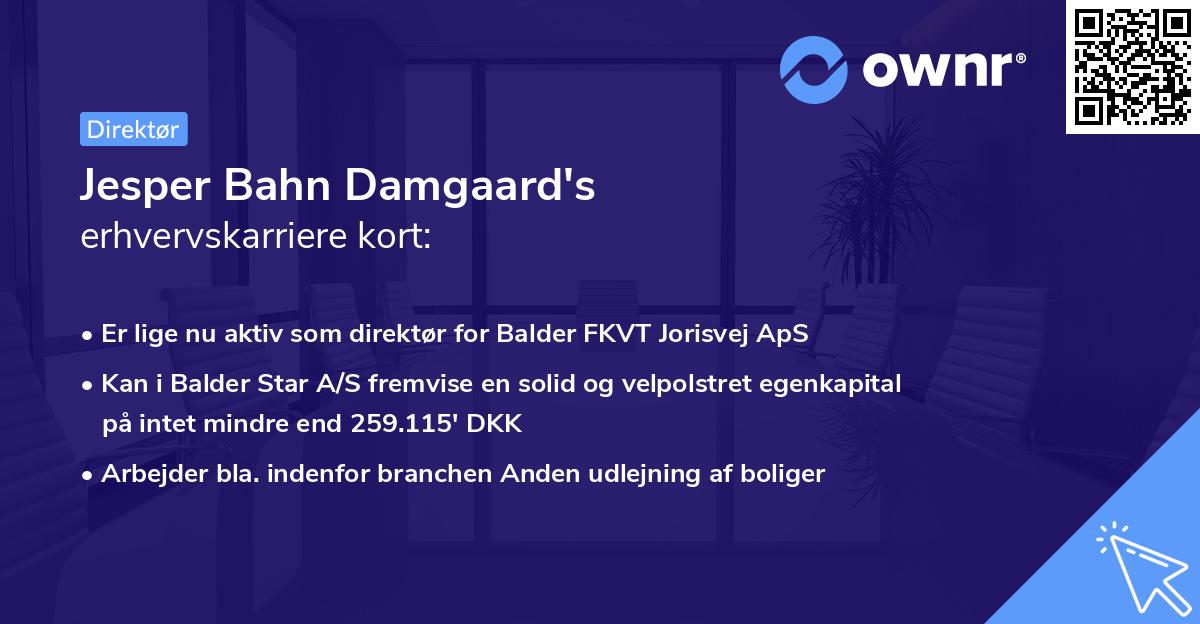 Jesper Bahn Damgaard's erhvervskarriere kort