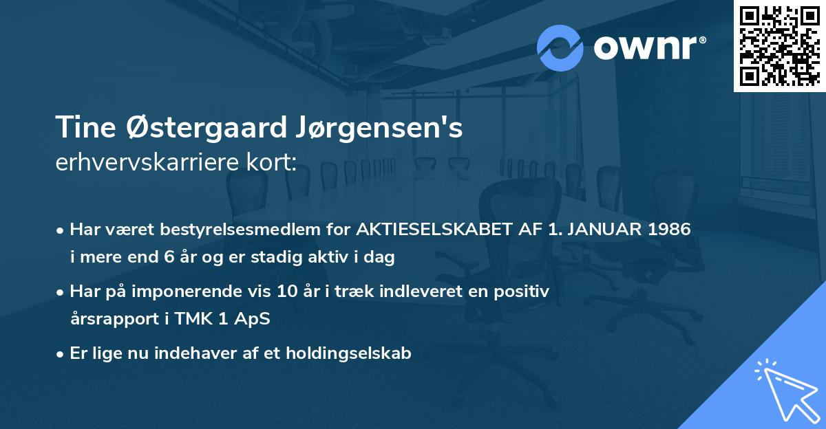 Tine Østergaard Jørgensen's erhvervskarriere kort