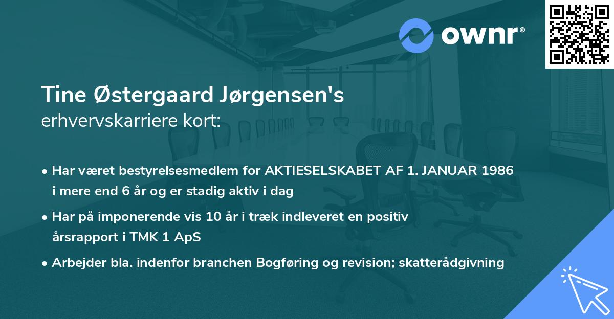 Tine Østergaard Jørgensen's erhvervskarriere kort