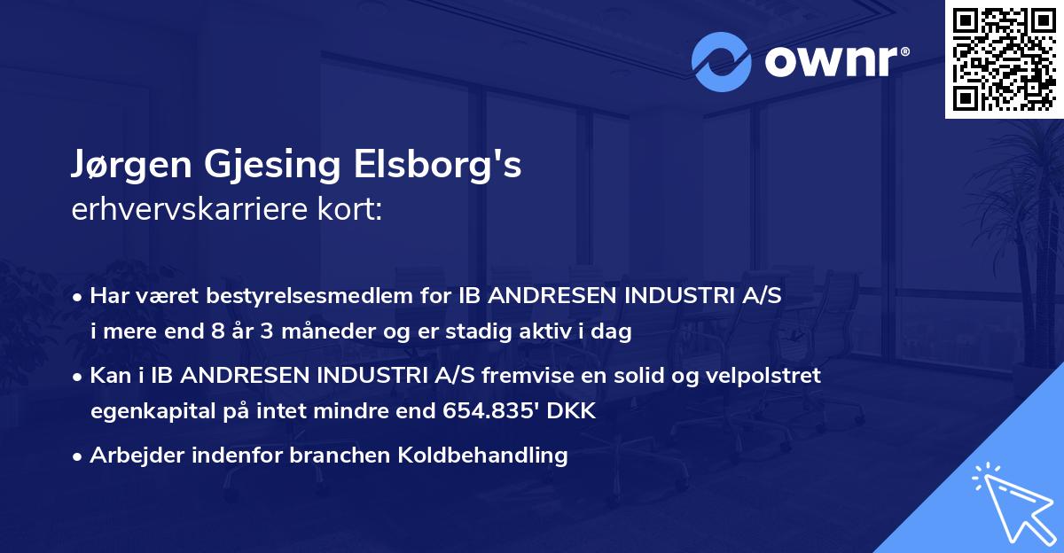 Jørgen Gjesing Elsborg's erhvervskarriere kort