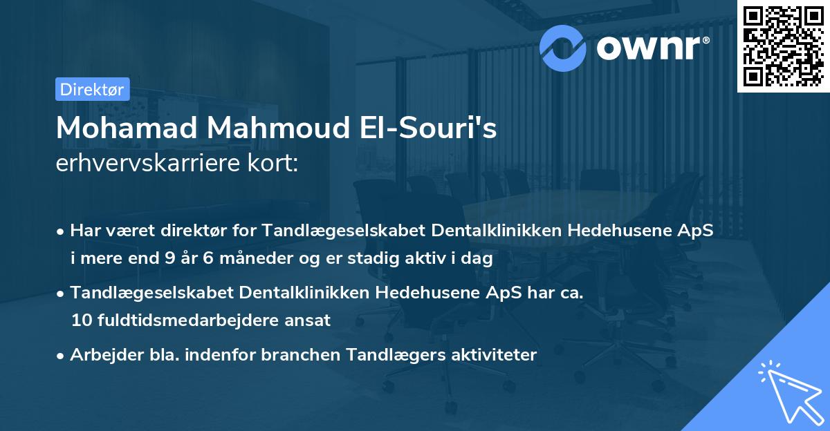 Mohamad Mahmoud El-Souri's erhvervskarriere kort