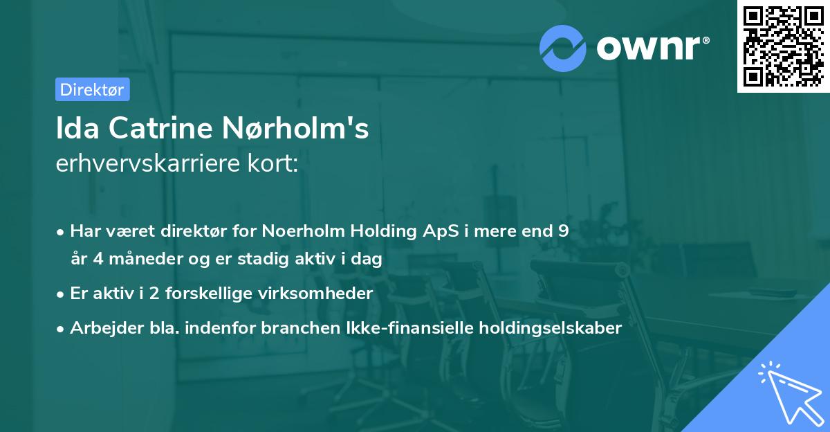 Ida Catrine Nørholm's erhvervskarriere kort