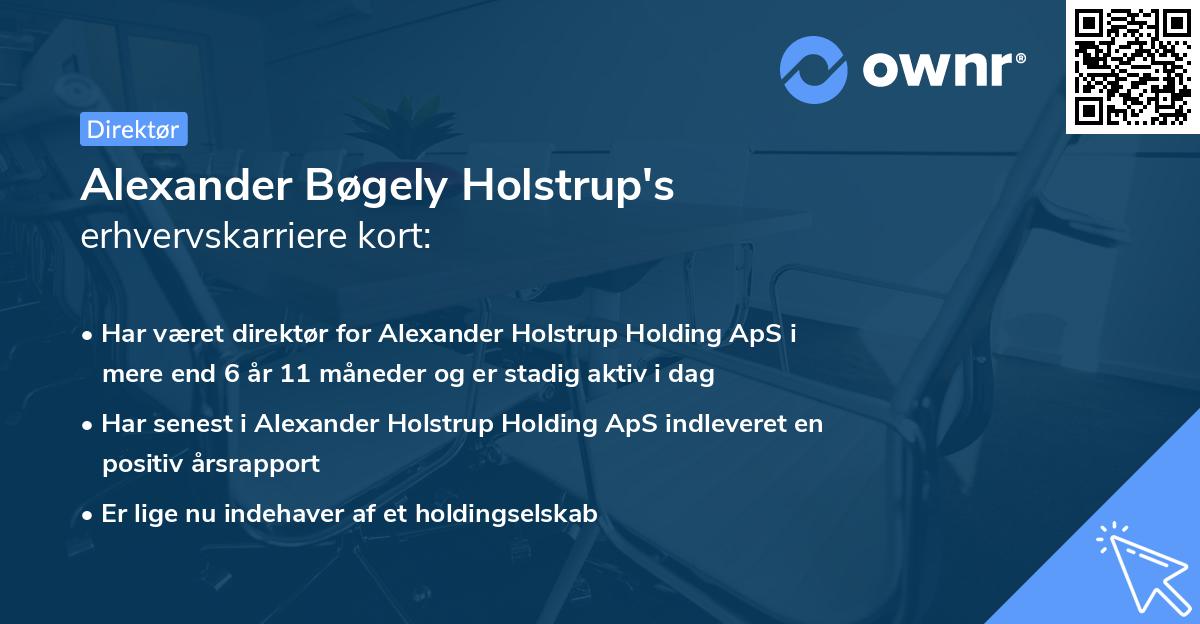 Alexander Bøgely Holstrup's erhvervskarriere kort