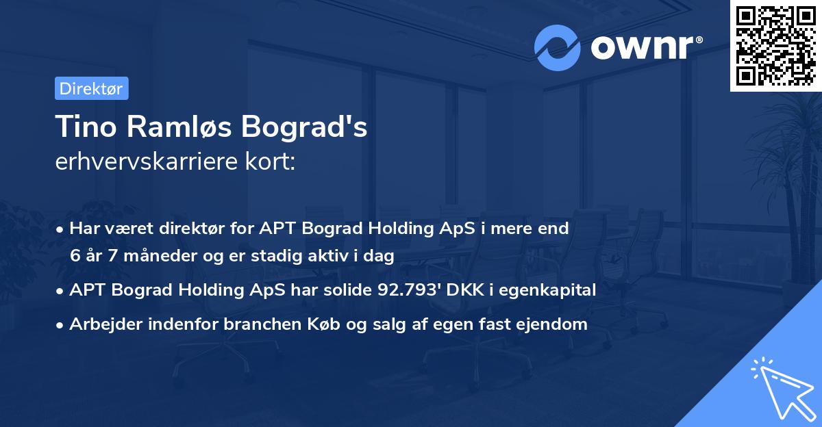 Tino Ramløs Bograd's erhvervskarriere kort