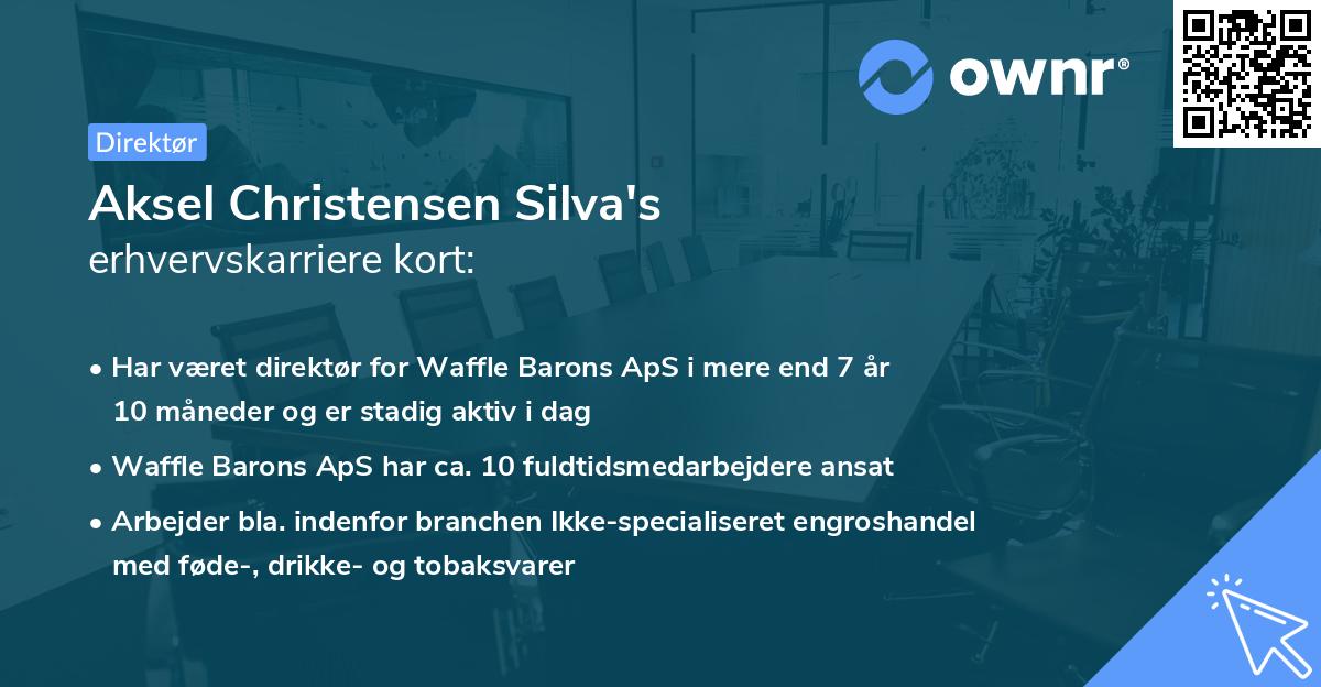 Aksel Christensen Silva's erhvervskarriere kort