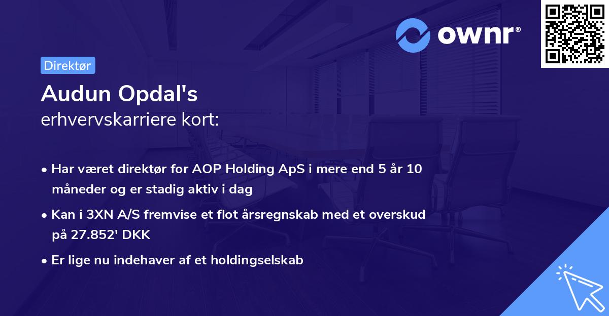 Audun Opdal's erhvervskarriere kort