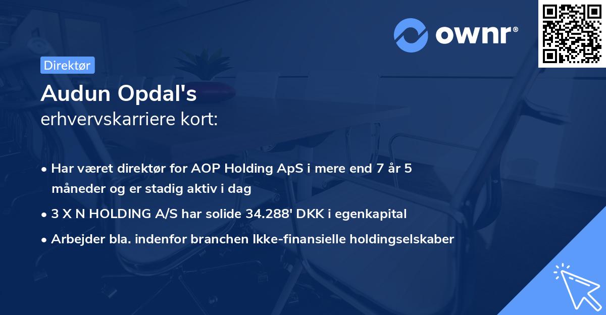Audun Opdal's erhvervskarriere kort