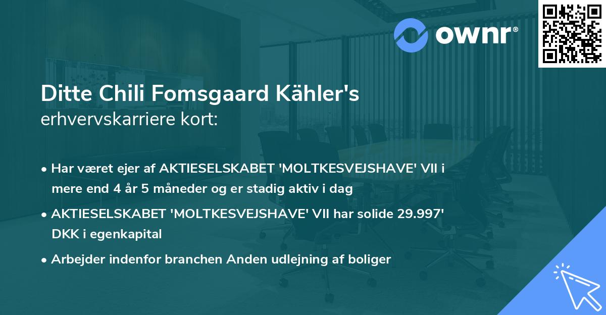 Ditte Chili Fomsgaard Kähler's erhvervskarriere kort