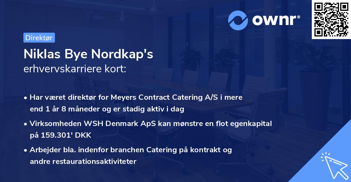Niklas Bye Nordkap's erhvervskarriere kort