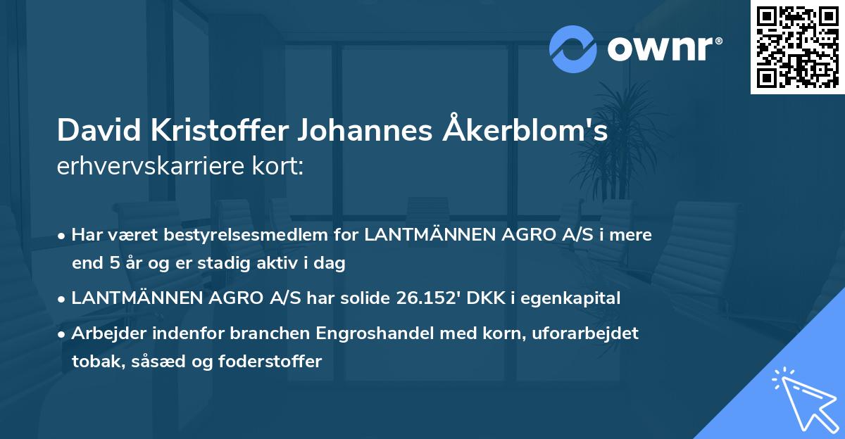 David Kristoffer Johannes Åkerblom's erhvervskarriere kort