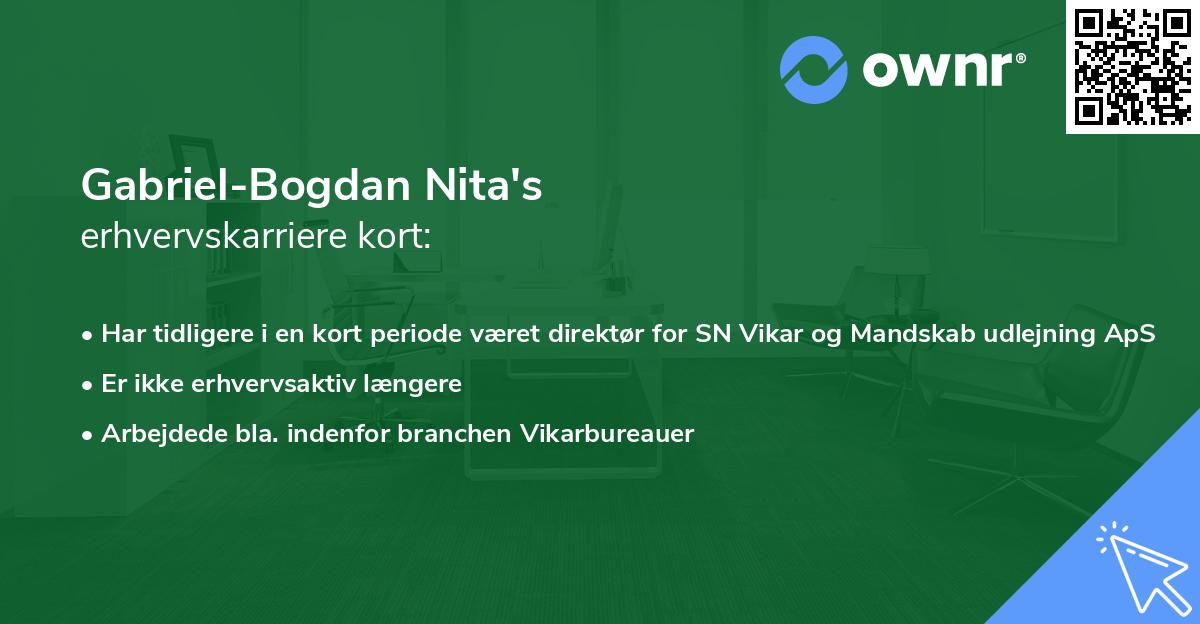 Gabriel-Bogdan Nita's erhvervskarriere kort
