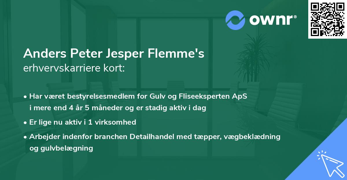 Anders Peter Jesper Flemme's erhvervskarriere kort