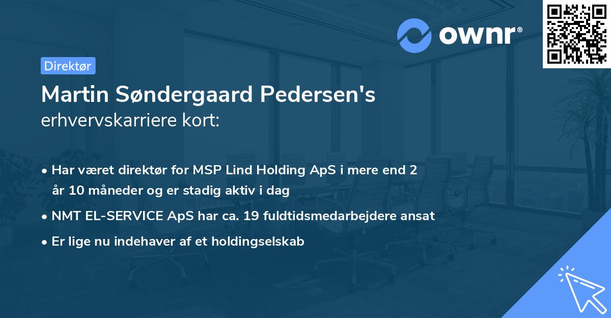 Martin Søndergaard Pedersen's erhvervskarriere kort