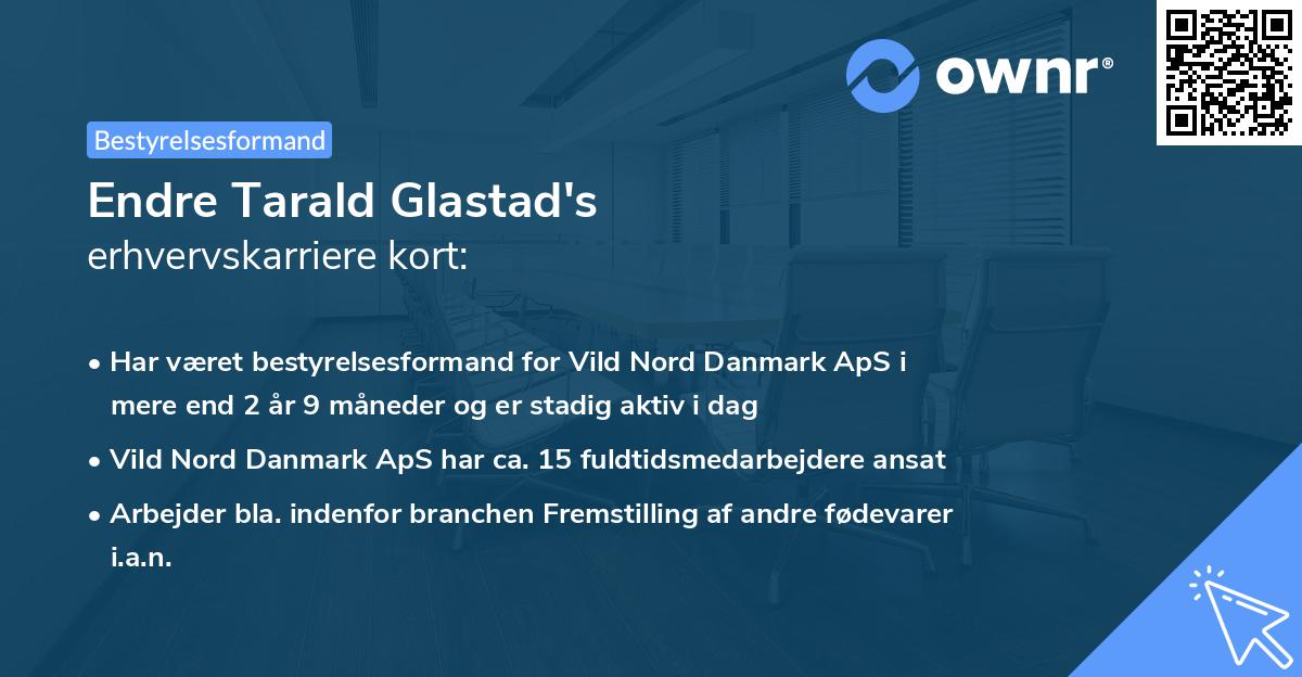 Endre Tarald Glastad's erhvervskarriere kort