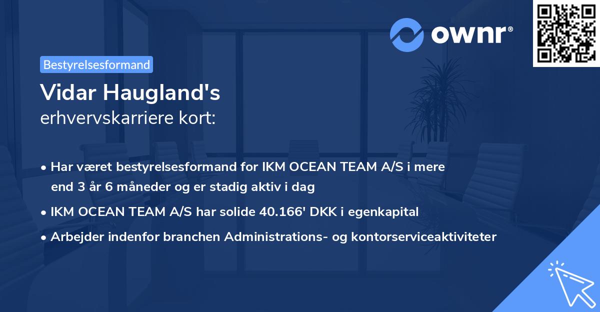 Vidar Haugland's erhvervskarriere kort