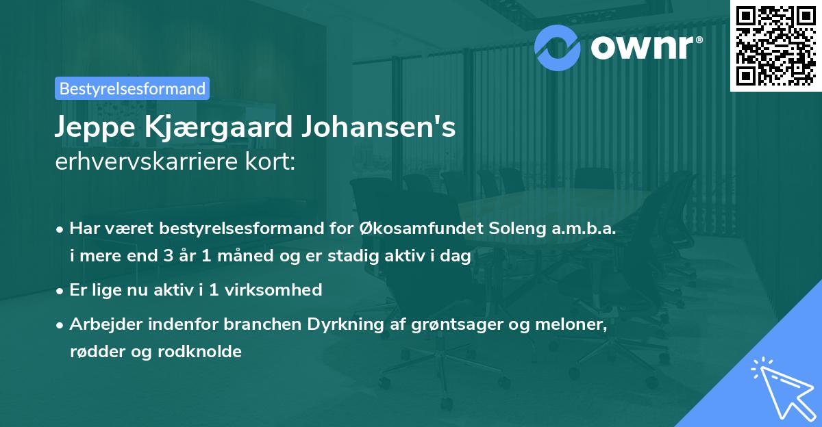 Jeppe Kjærgaard Johansen's erhvervskarriere kort