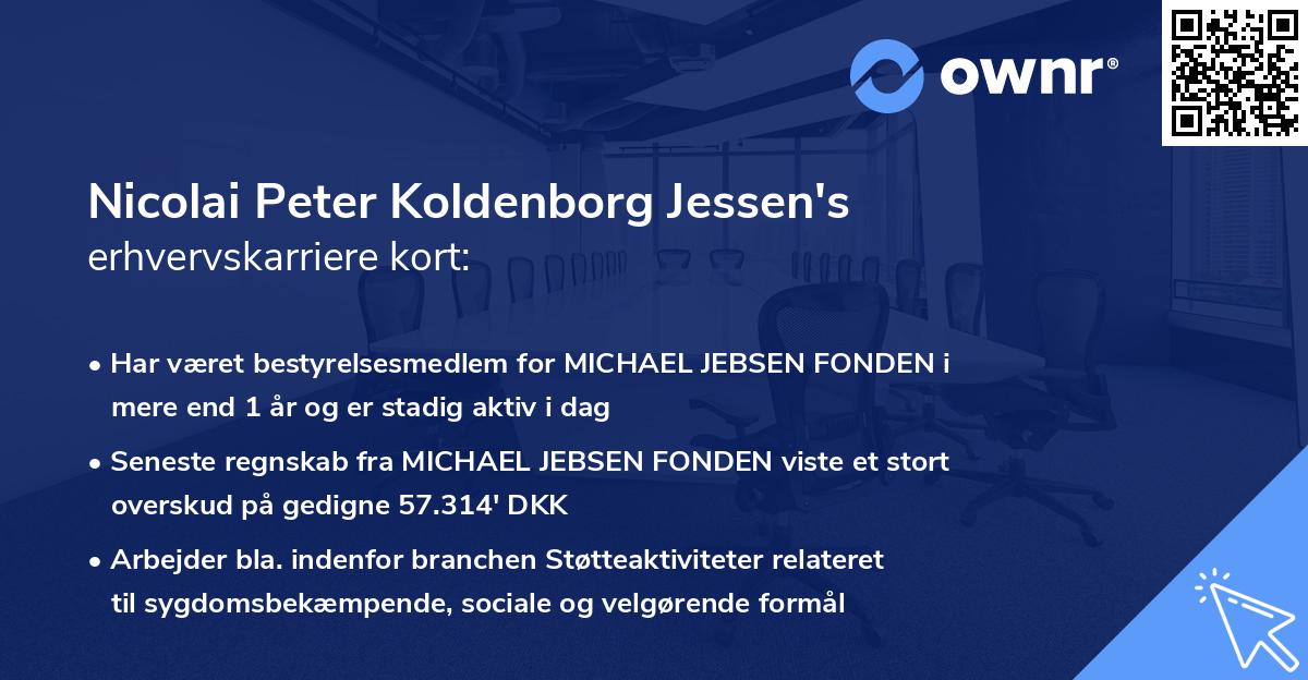 Nicolai Peter Koldenborg Jessen's erhvervskarriere kort