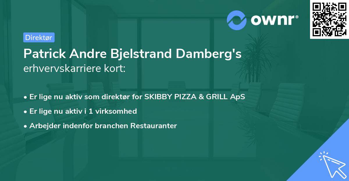 Patrick Andre Bjelstrand Damberg's erhvervskarriere kort