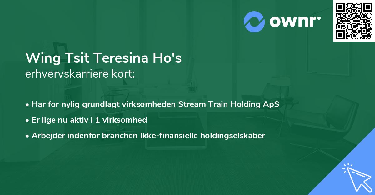 Wing Tsit Teresina Ho's erhvervskarriere kort