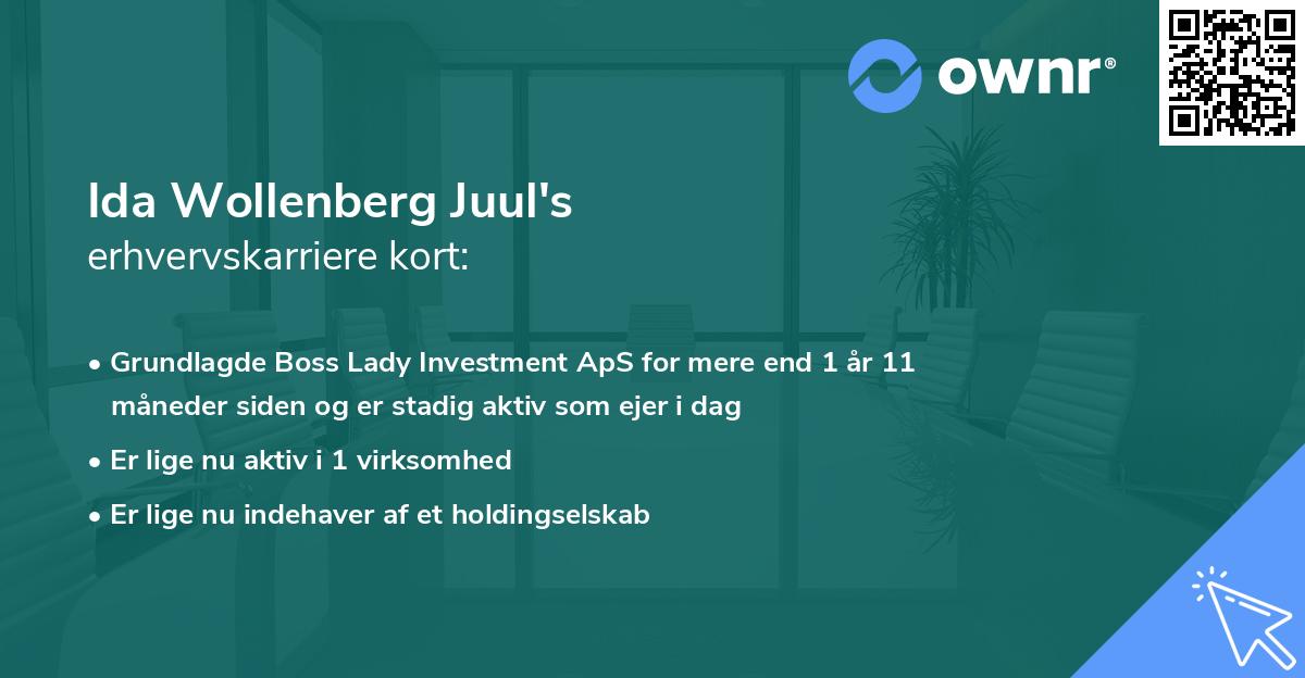 Ida Wollenberg Juul's erhvervskarriere kort