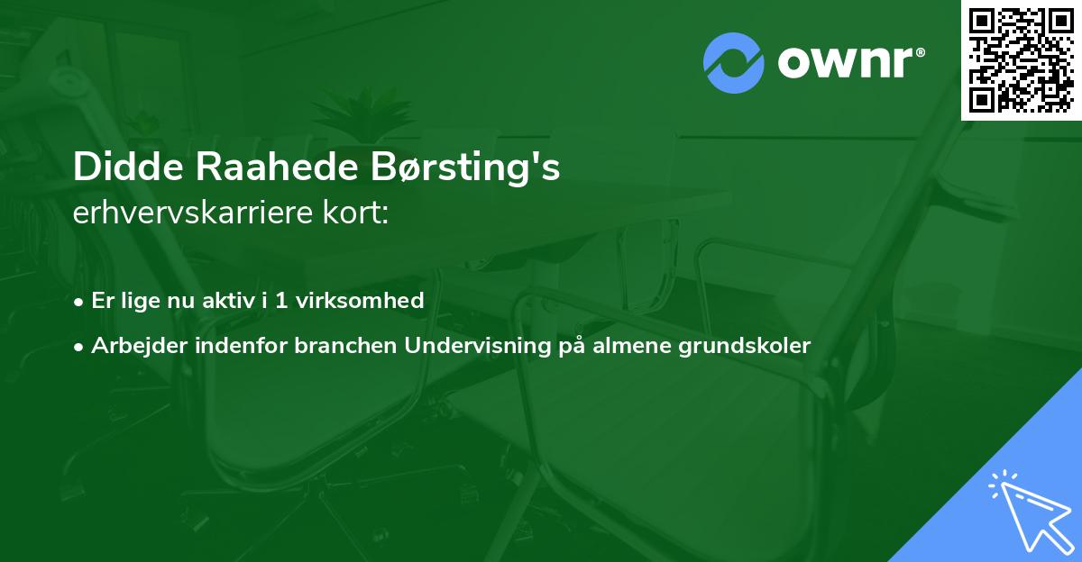 Didde Raahede Børsting's erhvervskarriere kort