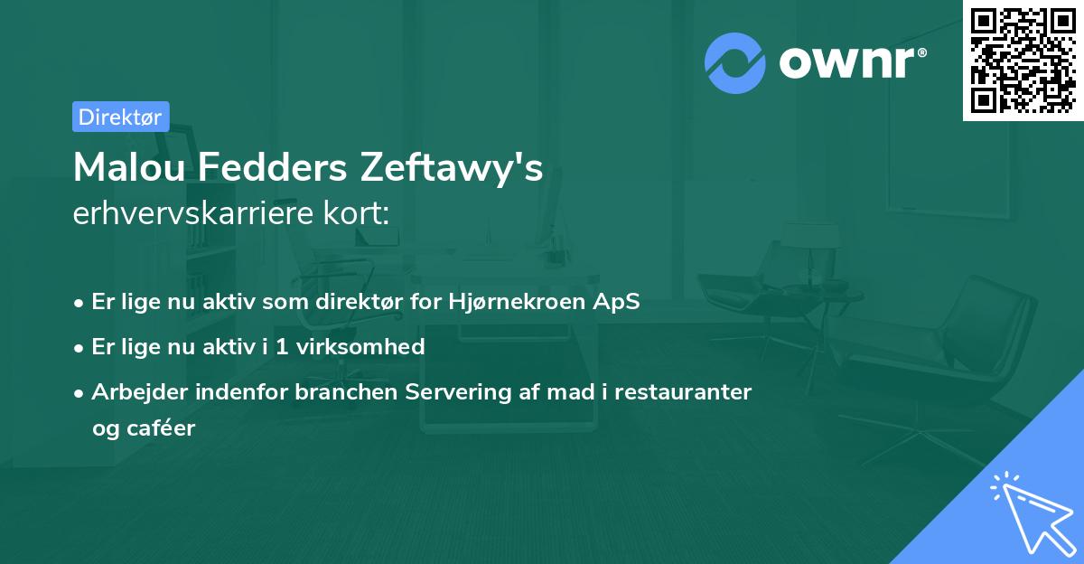 Malou Fedders Zeftawy's erhvervskarriere kort