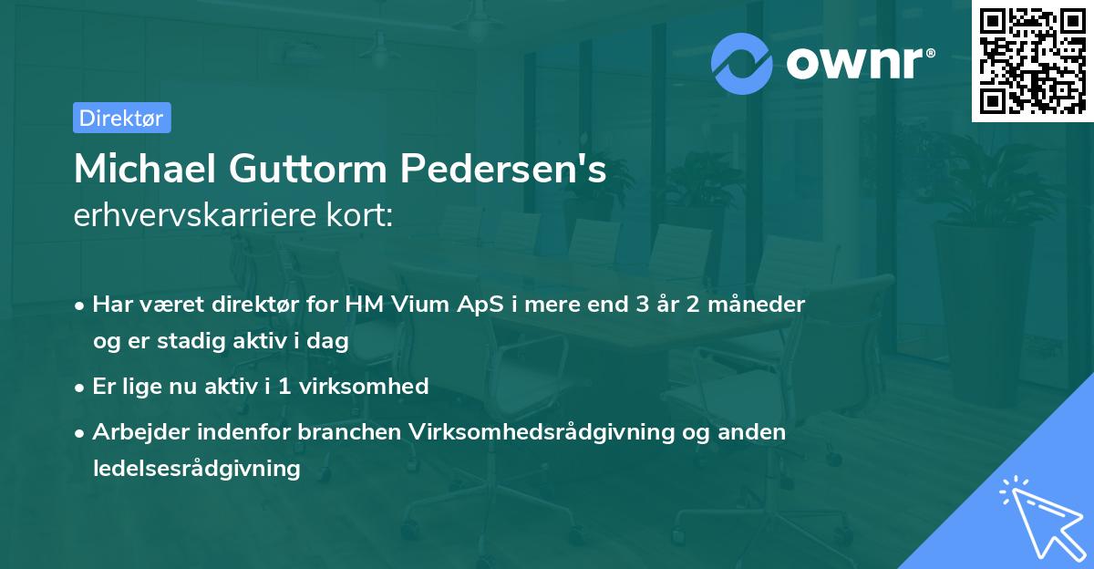 Michael Guttorm Pedersen's erhvervskarriere kort