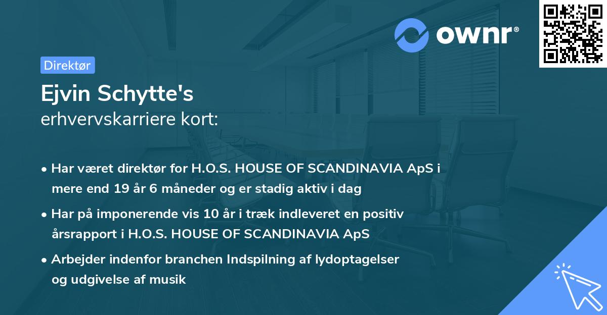 Ejvin Schytte's erhvervskarriere kort