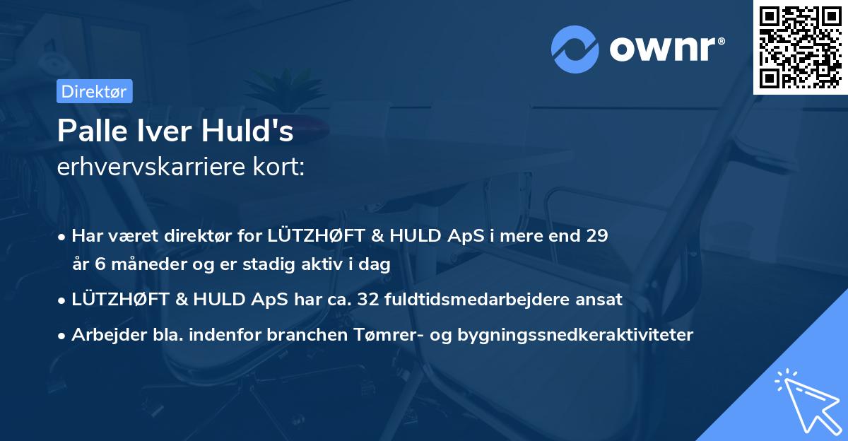 Palle Iver Huld's erhvervskarriere kort