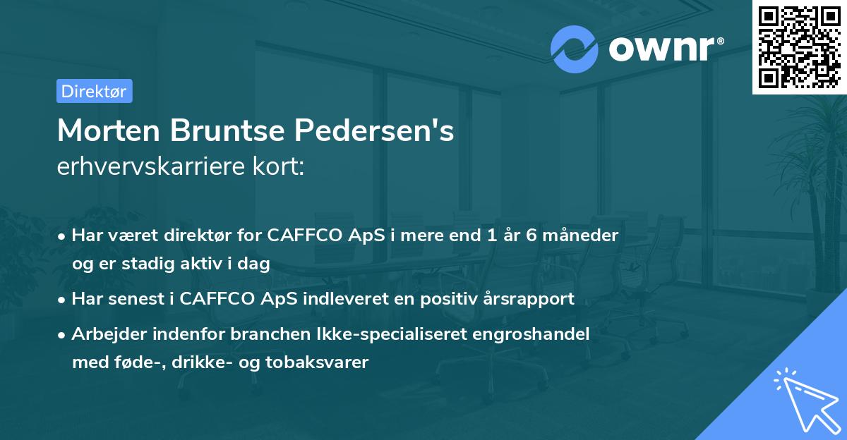 Morten Bruntse Pedersen's erhvervskarriere kort