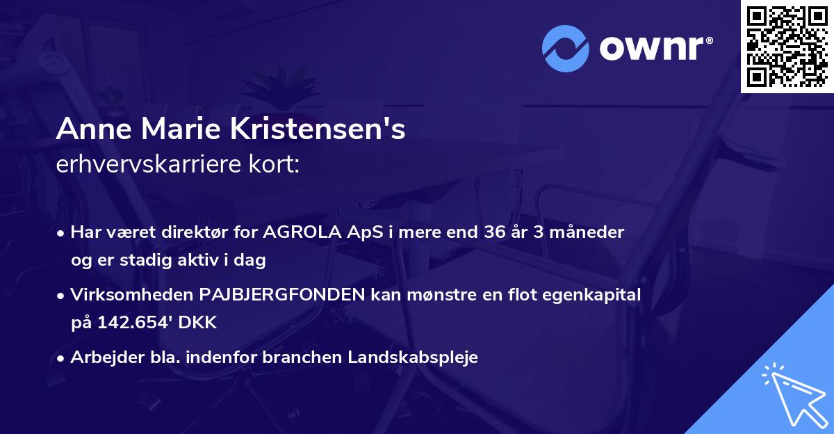 Anne Marie Kristensen's erhvervskarriere kort