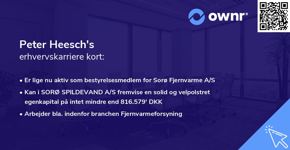 Peter Heesch's erhvervskarriere kort