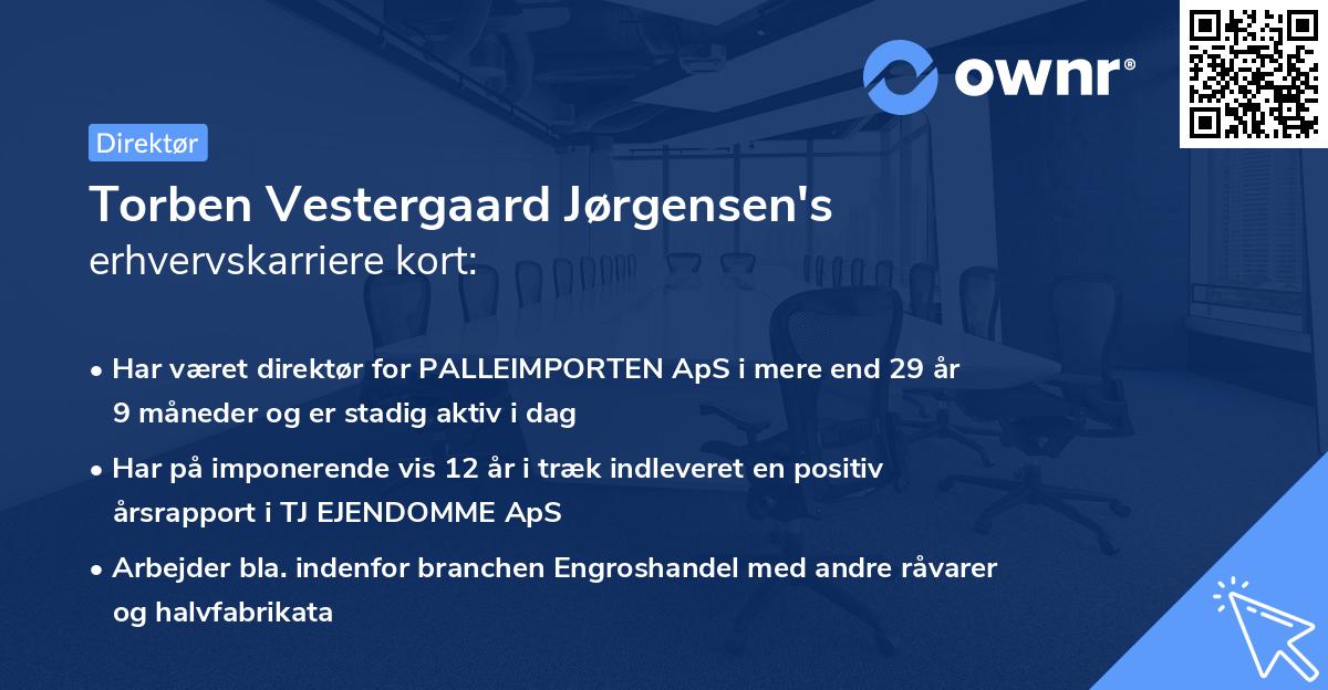 Torben Vestergaard Jørgensen's erhvervskarriere kort