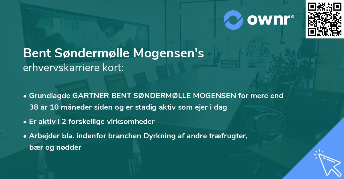 Bent Søndermølle Mogensen's erhvervskarriere kort