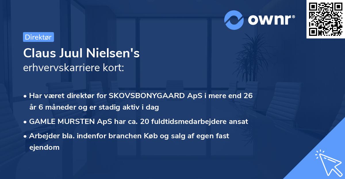 Claus Juul Nielsen's erhvervskarriere kort