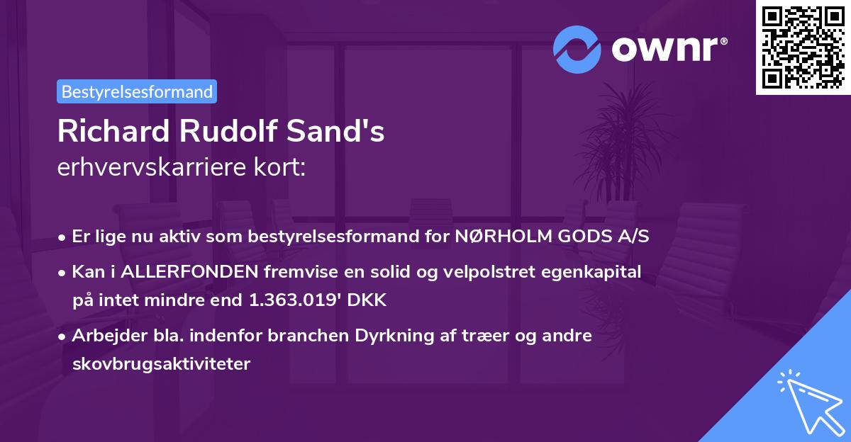 Richard Rudolf Sand's erhvervskarriere kort