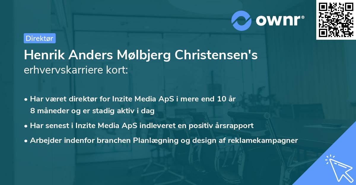 Henrik Anders Mølbjerg Christensen's erhvervskarriere kort