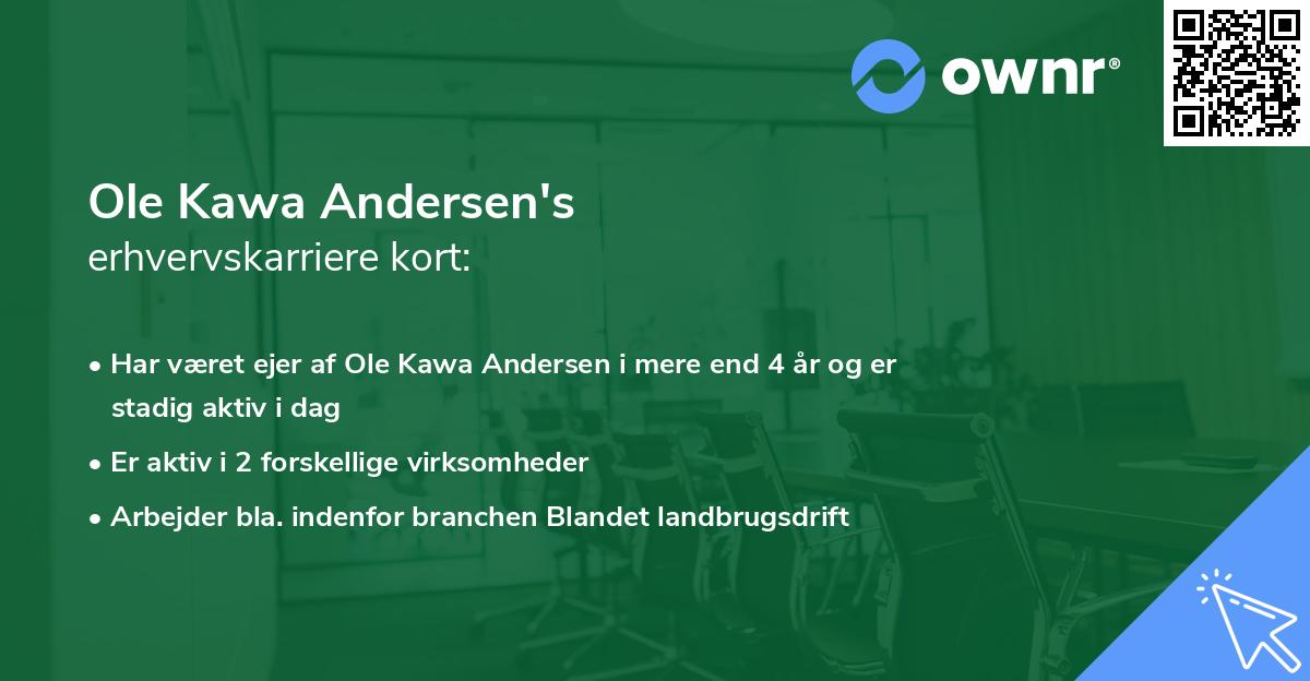 Ole Kawa Andersen's erhvervskarriere kort