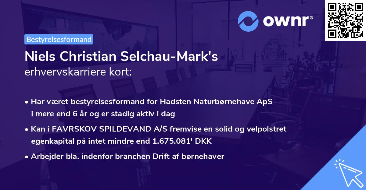 Niels Christian Selchau-Mark's erhvervskarriere kort