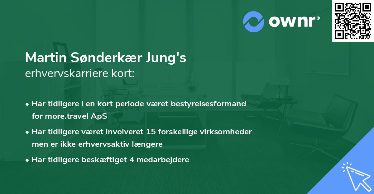 Martin Sønderkær Jung's erhvervskarriere kort