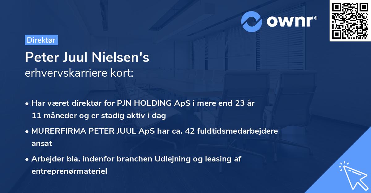 Peter Juul Nielsen's erhvervskarriere kort
