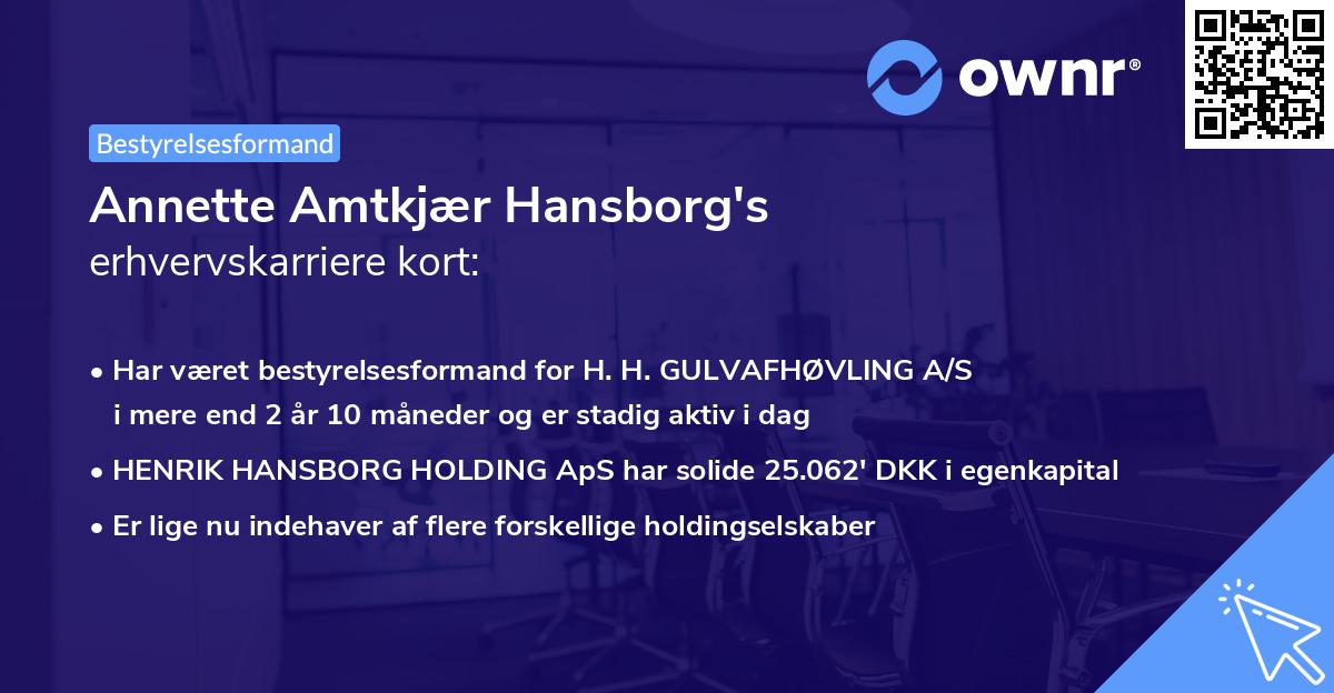 Annette Amtkjær Hansborg's erhvervskarriere kort