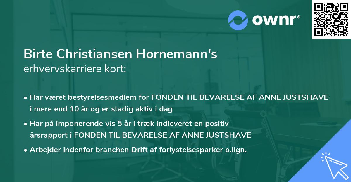 Birte Christiansen Hornemann's erhvervskarriere kort