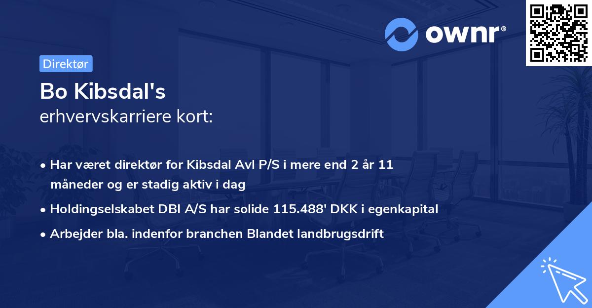 Bo Kibsdal's erhvervskarriere kort