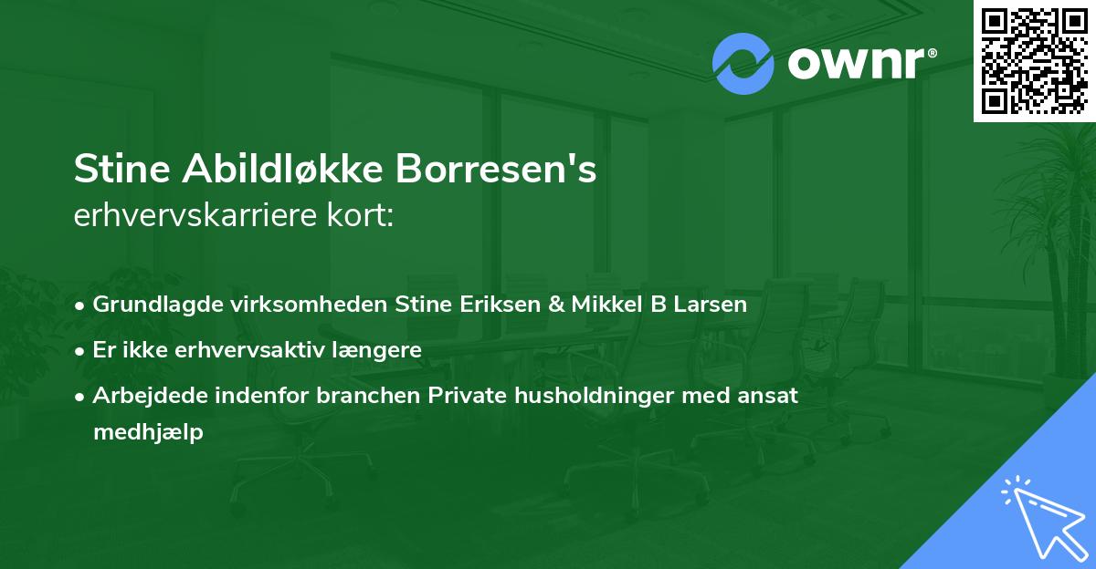 Stine Abildløkke Borresen's erhvervskarriere kort