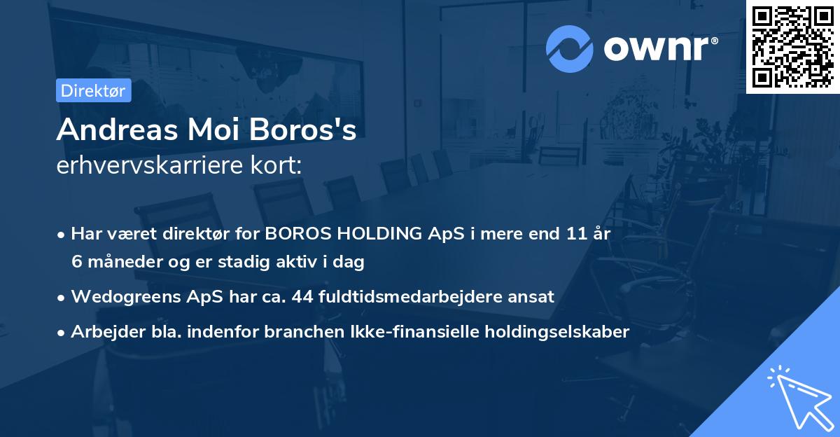 Andreas Moi Boros's erhvervskarriere kort
