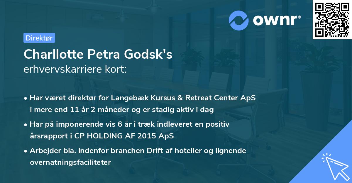 Charllotte Petra Godsk's erhvervskarriere kort