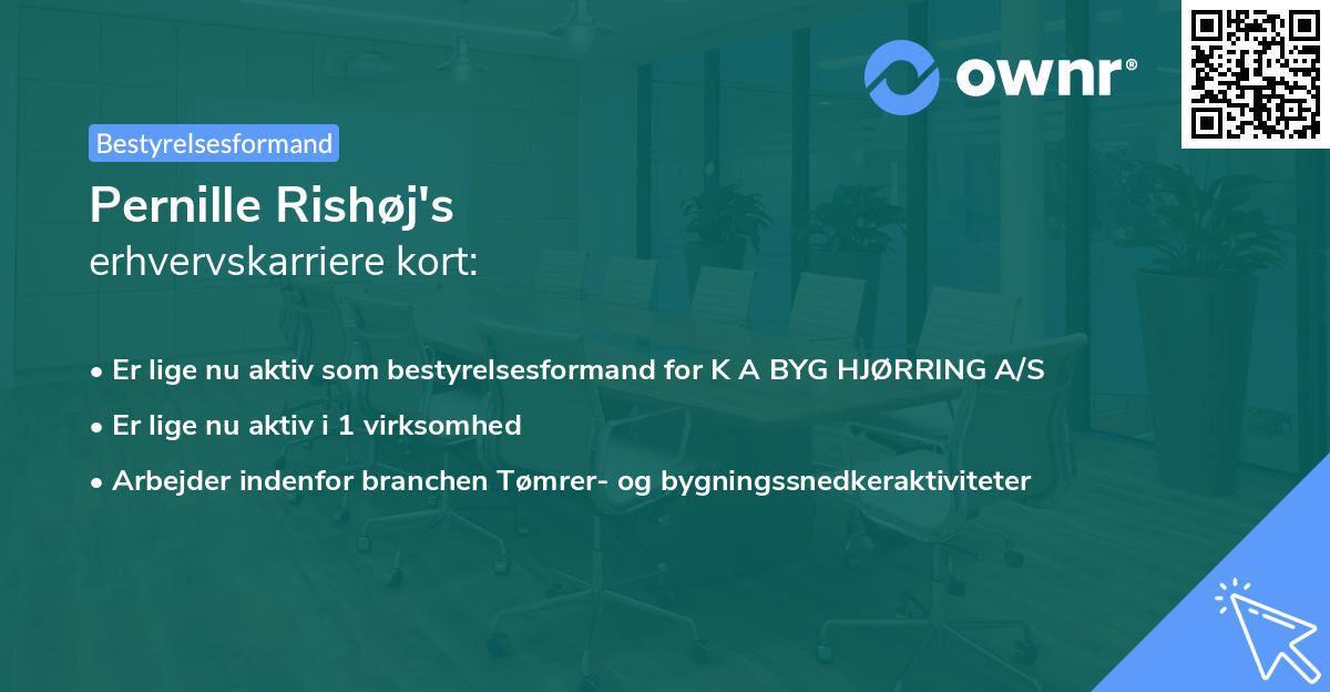 Pernille Rishøj's erhvervskarriere kort